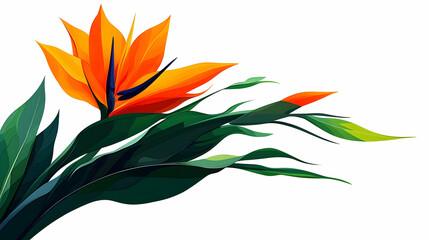 Bird of Paradise Flower Illustration with Vibrant Colors and Green Leaves on White Background