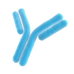 Antibody. Isolated. Immunoglobulin. Blue color. 3d illustration.