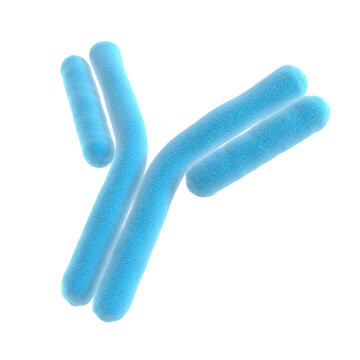 Antibody. Isolated. Immunoglobulin. Blue color. 3d illustration.