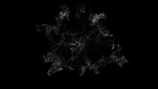 Dynamic abstract visualization of a white energy shockwave with rippling patterns radiating outward on a stark black background with high contrast and fine details