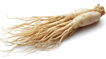 Dang Shen Roots Displayed Prominently on a Clean White Background, Highlighting Intricate Details