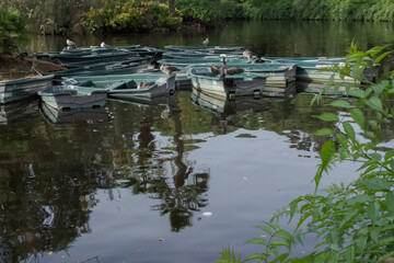 many boats are tied up in the middle of the lake in the park
