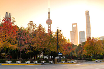 Morning sun rise of Shanghai city modern skyscraper cityscape and red maple foreground, autumn...