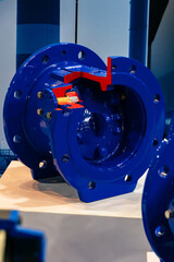 Industrial check valve. Detail in section for studying the principle of operation.