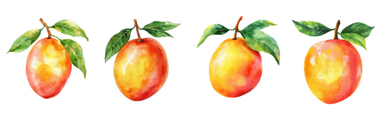Watercolor mango set png. Juicy ripe tropical mangoes on transparent background watercolor. Tropical fruits watercolor. Vector illustration.