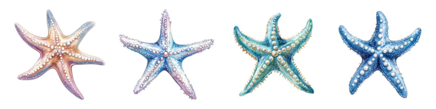 Watercolor pearlescent starfish decorated with pearls. Fantastic starfish in marine colors. Sea fairy elements png. Vector illustration.