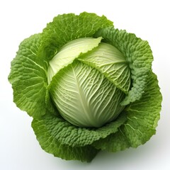 Obraz premium cabbage vegetable isolated on white background with shadow. leafy green lettuce on white bg. organic and healthy cabbage full of vitamins