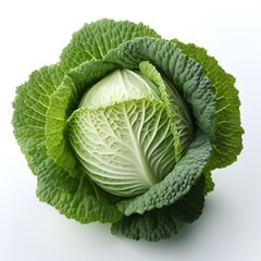 Fototapeta premium cabbage vegetable isolated on white background with shadow. leafy green lettuce on white bg. organic and healthy cabbage full of vitamins