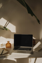 Minimalist Workspace with Laptop and Plants