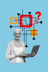 Banner vertical photo trend image collage of happy old woman hold laptop freelance occupation matrix question mark cyberspace
