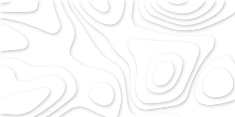 Abstract White Paper cut background. Modern 3d Paper cut background. Geometric map relief texture with curved layers and shadow. Topographic canyon map light relief texture. Vector illustration.