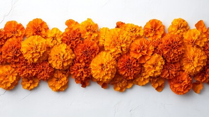 Marigold flowers garland. Traditional composition for Indian Diwali or Mexican Day of Dead. Banner with place for text. Isolated floral design
