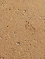 footprints in the sand