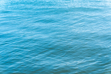 Calm, blue ocean water ripples gently across the frame, creating a serene and tranquil visual texture.