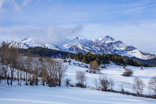 Montagnes enneig&eacute;es sous les nuages d'hiver dominant une plaine bois&eacute;e et enneig&eacute;e o&ugrave; vivent des animaux sauvages.