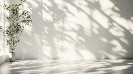 Natural light filters through a window casting shadows on a minimalistic indoor space with a plant. Generative AI
