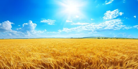 Naklejka premium Vibrant golden wheat field basking under a bright blue sky, showcasing the beauty of nature and the richness of golden wheat, perfect for illustrating themes of agriculture and rural life.
