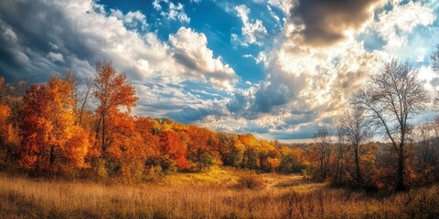 Vibrant autumn landscape showcasing bare trees surrounded by fall colors and dynamic clouds in the sky, highlighting the beauty of nature during the autumn season and its colorful transformation.