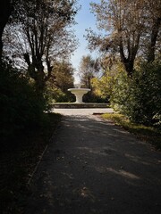 White fountain in a summer courtyard, which is surrounded by dark trees