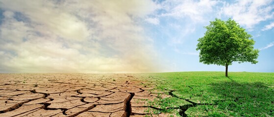 Climate change theme from drought to green growth illustrates the transformative power of nature. Generative AI