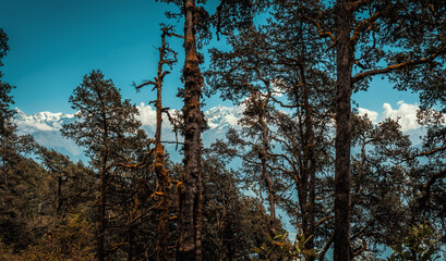 A pixelated image shows a serene forest landscape with mountains