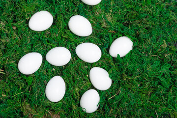 White color Eggs in the grass. Happy Easter poster, spring Christian greeting card, template sale banner, healthy menu. Bright blue color background, flat lay, copy space