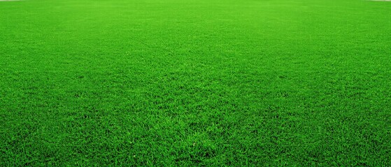 Green grass background on a football field captures the vibrant energy of a well-maintained pitch. Generative AI