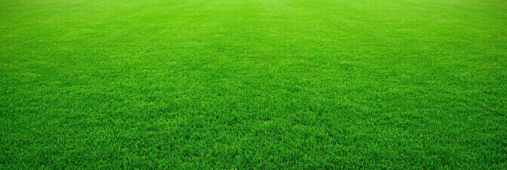 Green grass background on a football field captures the vibrant energy of a well-maintained pitch. Generative AI