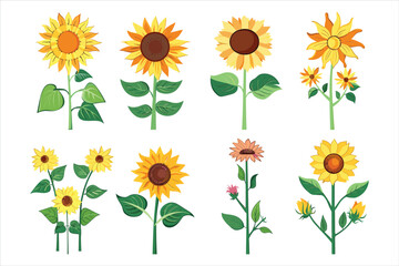 set of different sun flower Flat style vector illustration isolated on a white background