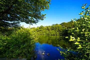 Sonderteich near Bad Wildungen with the surrounding nature. Landscape by the lake.
