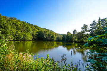 Fototapete bei efototapeten.de bestellen   