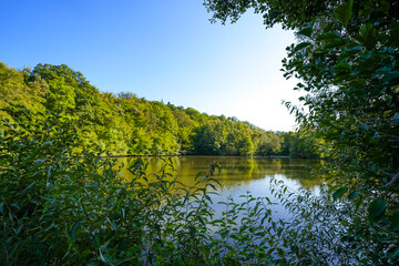 Fototapete bei efototapeten.de bestellen   