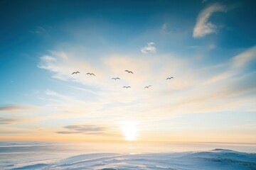 A flock of arctic terns soaring through the midnight sun over the North Pole.