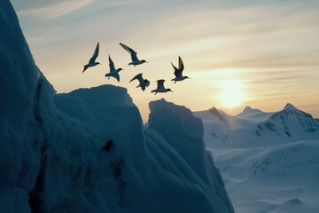 Naklejka premium A flock of arctic terns soaring through the midnight sun over the North Pole.