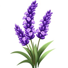 Fototapeta premium Realistic Lavender Flower Isolated on White Background. Elegant and Fragrant Purple Floral Stem Symbolizing Relaxation, Aromatherapy, and Natural Beauty.