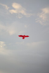 Sky kite. A beautiful shot of scarlet ibises in flight on a light blue cloudy sky background. Kite flying in the sky. 