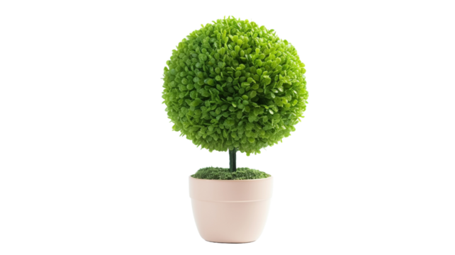 Green bush tree plant on transparency background.

