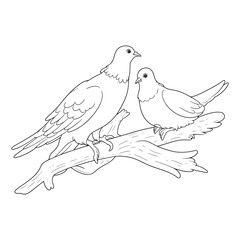 Obraz premium Pigeon line art modern vector Design | black and white drawing of a Pigeon bird