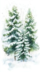 Fototapeta premium Beautiful snowy forest with green trees on white background, perfect for winter and nature themed projects
