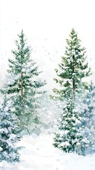 Fototapeta premium Beautiful Green Snowy Forest with Trees on White Background, perfect for winter and nature themed projects