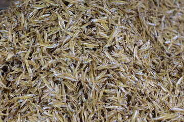Fresh salted fish in Indonesian traditional market, small fish dried in salt. Dried fish is full of calcium for healthy bones. Assorted small dried fish in market. Dried fish stored for selling.
