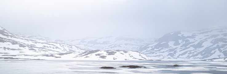 Hardangervidda, Ståvatn near Haukeliseter, towards south-west, in June