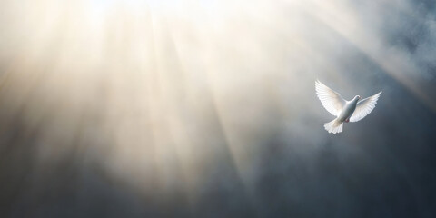 White dove flying peace, freedom, and purity, Holy Spirit and hope Easter in Christian faith. Cloud is a purity resurrection and peace. Pigeons is Christian good Friday religion.