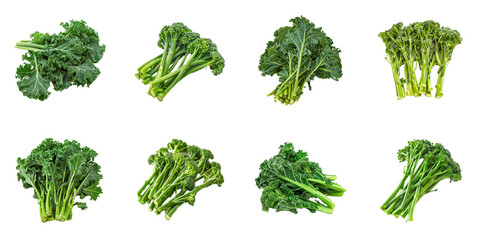broccoli rabe rapini isolated on background, buds nutritious edible bitter