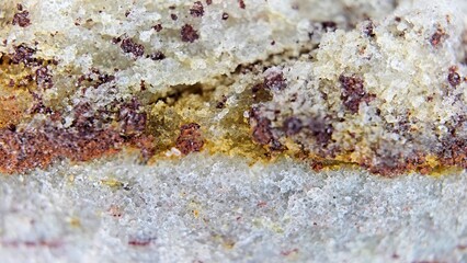 macrophotography of a layer of particles in a rock