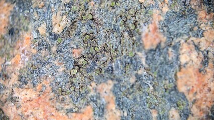 macrophotography of granite surface