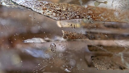 macrophotography of a topaz crystal with plate-like inclusions