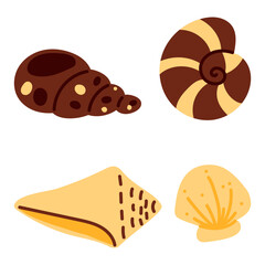set flat seashells in yellow, brown colors. Oceanic exotic underwater seashell, aquatic clam, spiral snails. Tropical beach shells. Modern flat style, isolated on white background. Vector illustration
