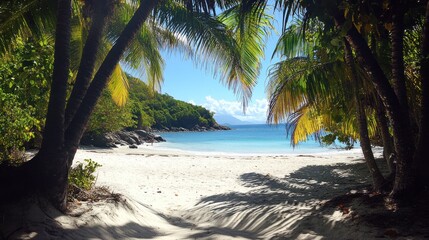Secluded tropical beach scene viewed through lush palm trees, white sand, turquoise water, and sunny sky.
