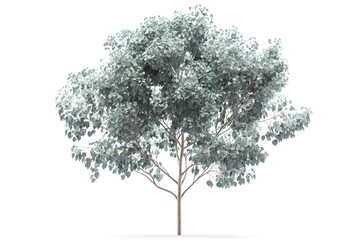 Obraz premium Discover Lush Foliage: Tree's Beauty, Tranquil Leaves, Serene Nature